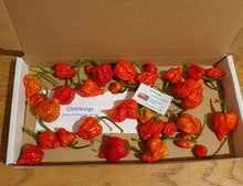 Load image into Gallery viewer, 50g Fresh, SMALL, Carolina Reaper Chillies!!! World&#39;s Hottest Chilli!!! Ready Now!!!
