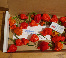 Load image into Gallery viewer, 50g Fresh, SMALL, Carolina Reaper Chillies!!! World&#39;s Hottest Chilli!!! Ready Now!!!
