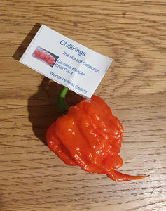 100g Fresh, Small/medium, Carolina Reaper Chillies!!! World's Hottest Chilli!!! Ready Now!!!!