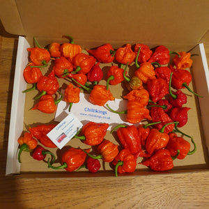 100g Fresh, Small/medium, Carolina Reaper Chillies!!! World's Hottest Chilli!!! Ready Now!!!!