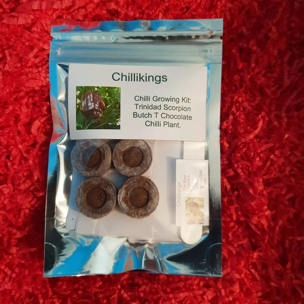 Trinidad Scorpion Butch T Chocolate Chilli, Superhot Chilli Grow Kit!!! 6 Seeds!!!