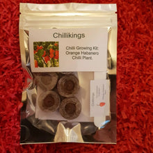 Load image into Gallery viewer, Orange Habanero Chilli, Chilli Grow Kit!!! 6, Seeds!!!
