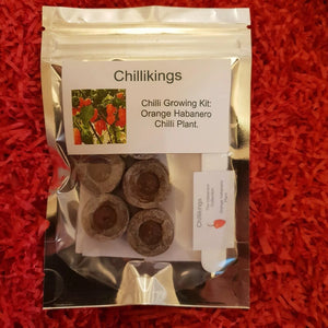 Orange Habanero Chilli, Chilli Grow Kit!!! 6, Seeds!!!