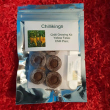 Load image into Gallery viewer, Yellow Fatalii Chilli, Superhot Chilli Grow Kit!!! 6, Seeds!!!
