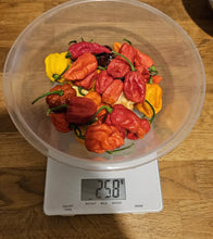 Load image into Gallery viewer, LAST OF SEASON SALE!!! 300g, Fresh, Rare, Superhot Chillies!!! No Labels!!!
