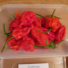 Load image into Gallery viewer, 1x Box 15x Fresh Large Carolina Reaper Chillies!!! World&#39;s Hottest!!!
