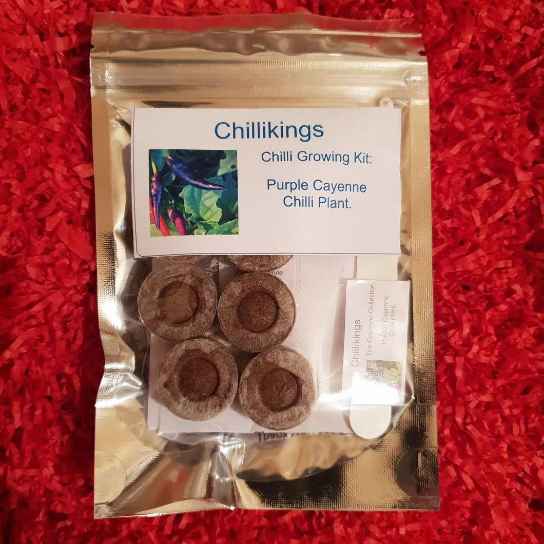 Purple Cayenne Chilli, Chilli Grow Kit!!! 6, Seeds!!!