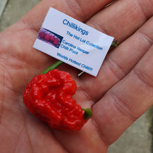 Load image into Gallery viewer, Any 3x of our Superhot Chilli Seed Grow Kit&#39;s! Mix And Match!!
